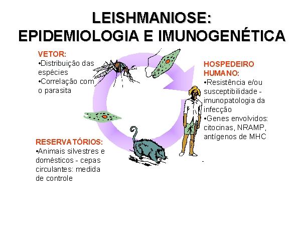 Seminário Municipal de Atualização em Leishmaniose Tegumentar e ...