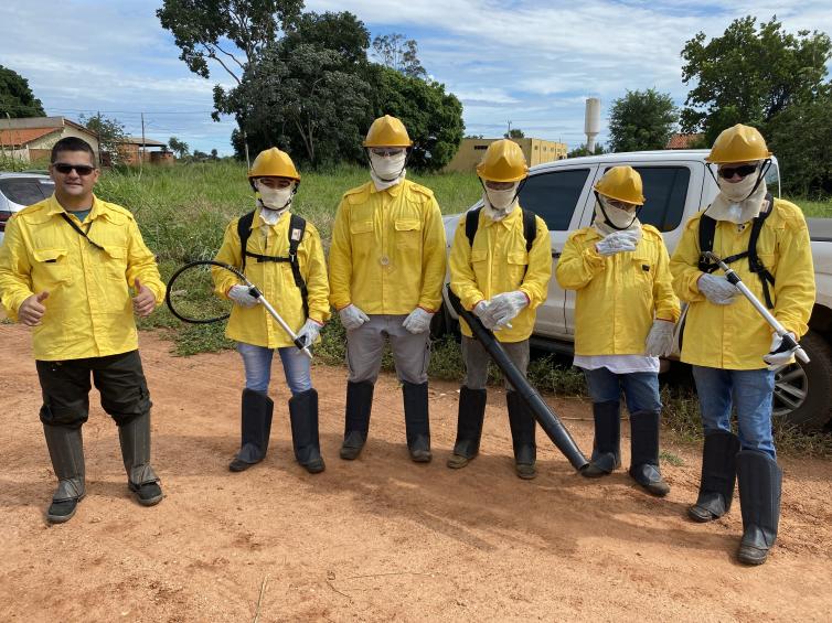 Imagem principal da Notícia