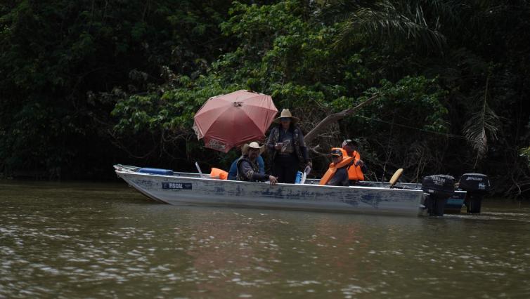 Imagem principal da Notícia